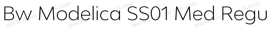 Bw Modelica SS01 Med Regular字体转换